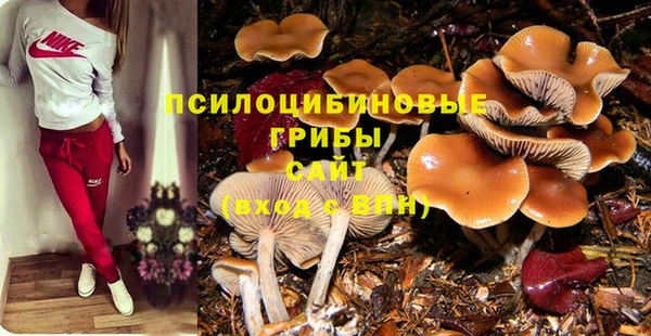 спайс Костерёво